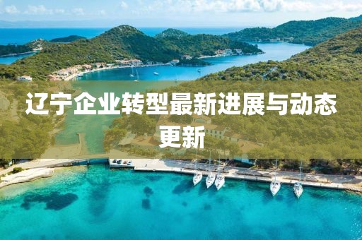 辽宁企业转型最新进展与动态更新