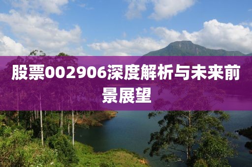 股票002906深度解析与未来前景展望
