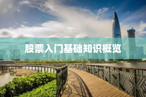 股票入门基础知识概览