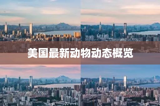 美国最新动物动态概览