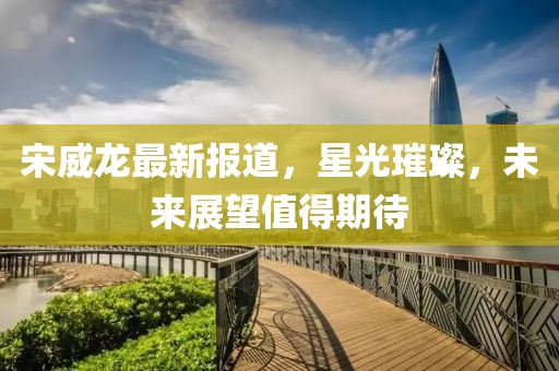 宋威龙最新报道，星光璀璨，未来展望值得期待