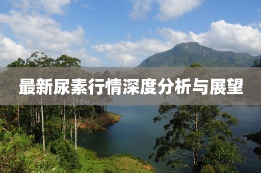 最新尿素行情深度分析与展望
