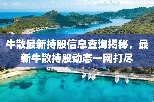 牛散最新持股信息查询揭秘，最新牛散持股动态一网打尽