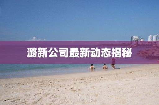 潞新公司最新动态揭秘