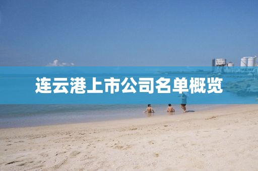 连云港上市公司名单概览