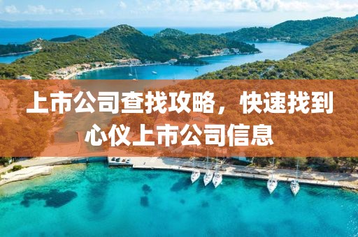 上市公司查找攻略，快速找到心仪上市公司信息