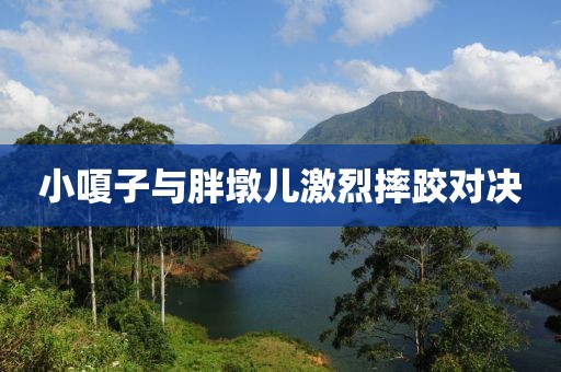 小嗄子与胖墩儿激烈摔跤对决
