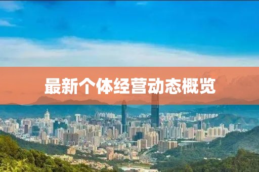 最新个体经营动态概览