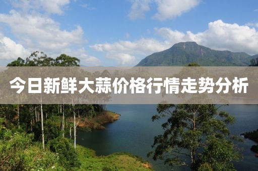今日新鲜大蒜价格行情走势分析