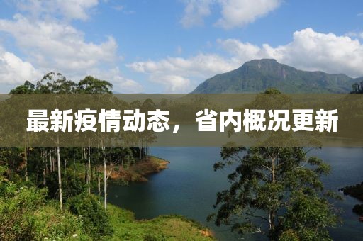 最新疫情动态，省内概况更新