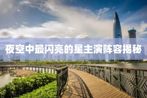 夜空中最闪亮的星主演阵容揭秘