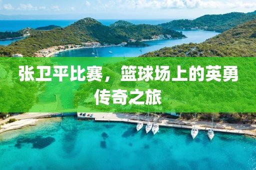 张卫平比赛，篮球场上的英勇传奇之旅