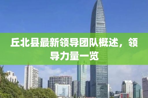 丘北县最新领导团队概述，领导力量一览