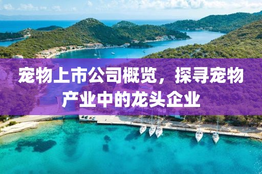 宠物上市公司概览，探寻宠物产业中的龙头企业