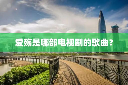 爱殇是哪部电视剧的歌曲？