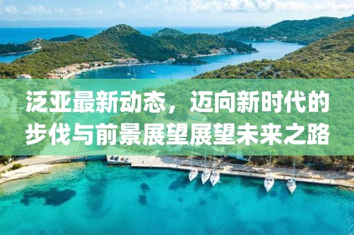 泛亚最新动态，迈向新时代的步伐与前景展望展望未来之路