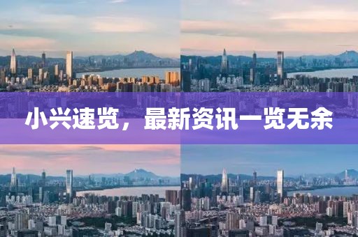 小兴速览，最新资讯一览无余