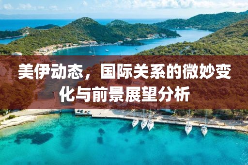 美伊动态，国际关系的微妙变化与前景展望分析