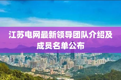 江苏电网最新领导团队介绍及成员名单公布