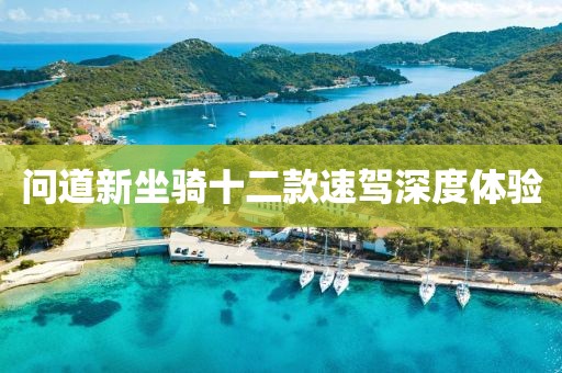 问道新坐骑十二款速驾深度体验