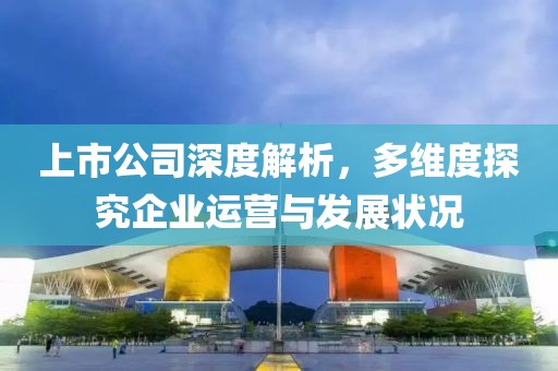 上市公司深度解析，多维度探究企业运营与发展状况