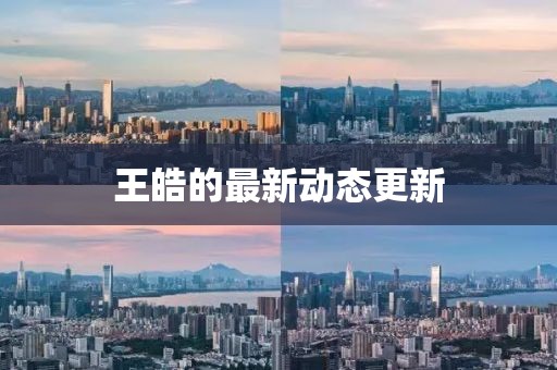 王皓的最新动态更新