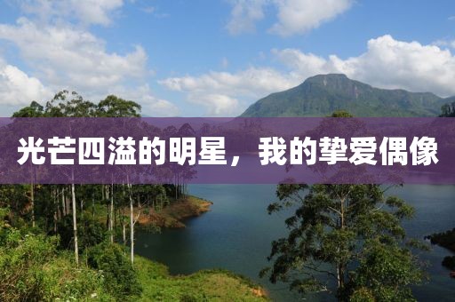 光芒四溢的明星，我的挚爱偶像