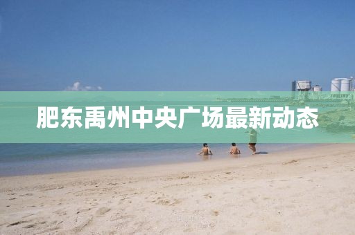 肥东禹州中央广场最新动态