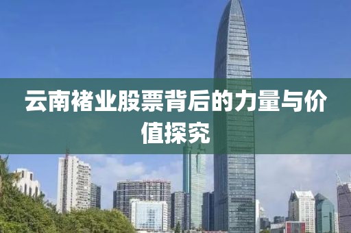 云南褚业股票背后的力量与价值探究