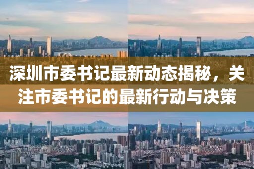 深圳市委书记最新动态揭秘，关注市委书记的最新行动与决策