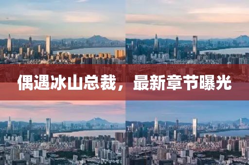 偶遇冰山总裁，最新章节曝光