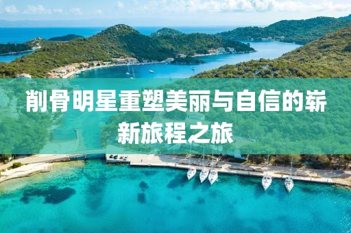 削骨明星重塑美丽与自信的崭新旅程之旅