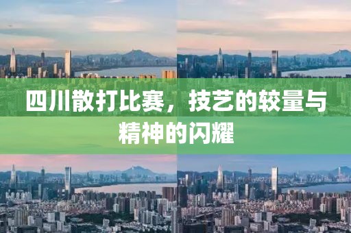 四川散打比赛，技艺的较量与精神的闪耀