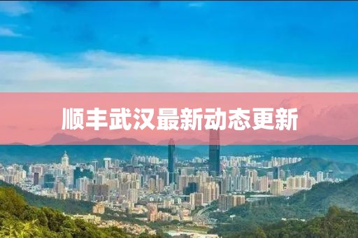 顺丰武汉最新动态更新