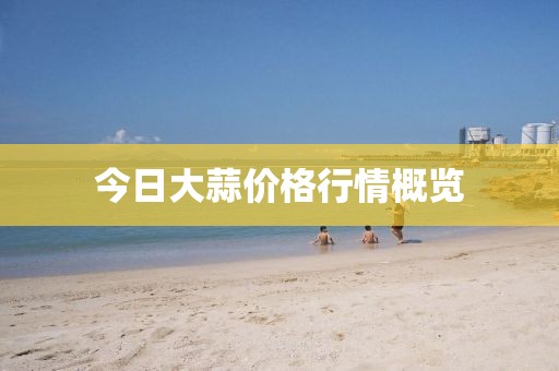 今日大蒜价格行情概览