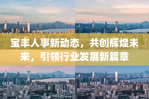 宝丰人事新动态，共创辉煌未来，引领行业发展新篇章