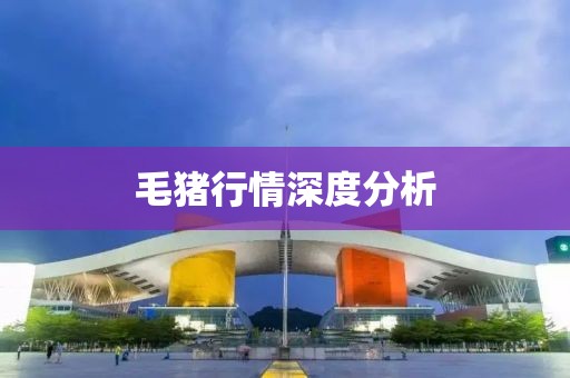 毛猪行情深度分析