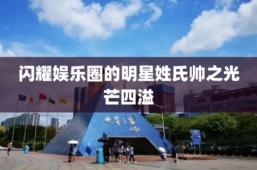闪耀娱乐圈的明星姓氏帅之光芒四溢