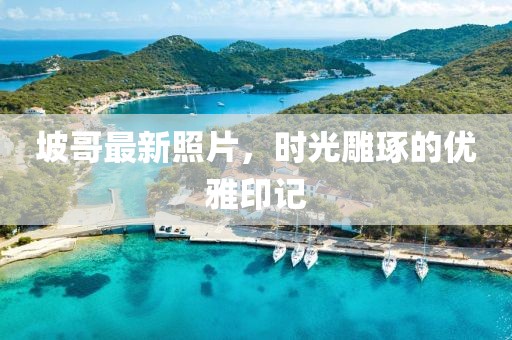坡哥最新照片，时光雕琢的优雅印记