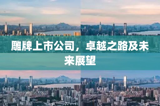 雕牌上市公司，卓越之路及未来展望