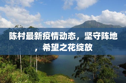 陈村最新疫情动态，坚守阵地，希望之花绽放