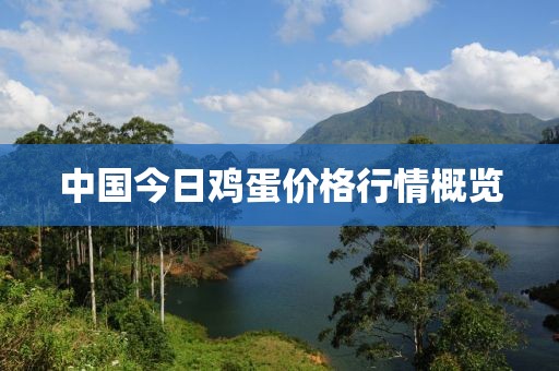 中国今日鸡蛋价格行情概览