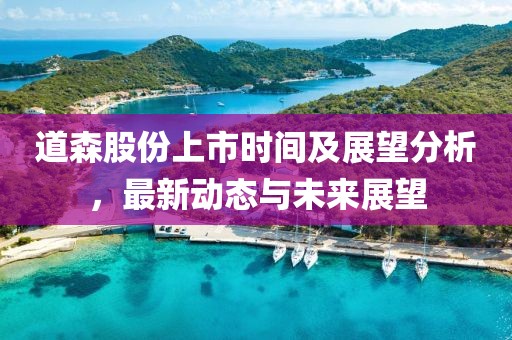 道森股份上市时间及展望分析，最新动态与未来展望