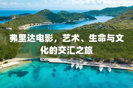 弗里达电影，艺术、生命与文化的交汇之旅