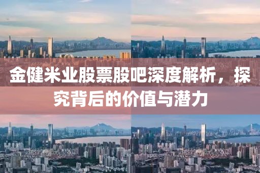 金健米业股票股吧深度解析，探究背后的价值与潜力