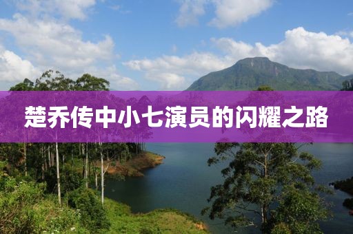 楚乔传中小七演员的闪耀之路