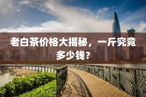 老白茶价格大揭秘，一斤究竟多少钱？