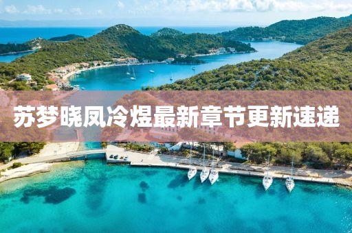 苏梦晓凤冷煜最新章节更新速递