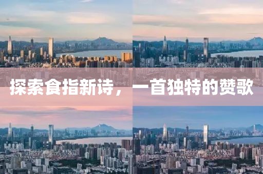 探索食指新诗，一首独特的赞歌