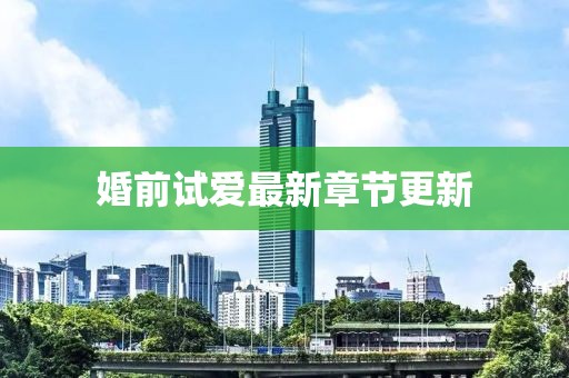 婚前试爱最新章节更新